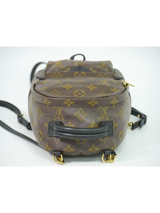 Louis Vuitton LV Palm Springs Backpack Mini Monogram Brown Vintage main image 4